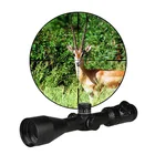 Wholesale Sports & Entertainment