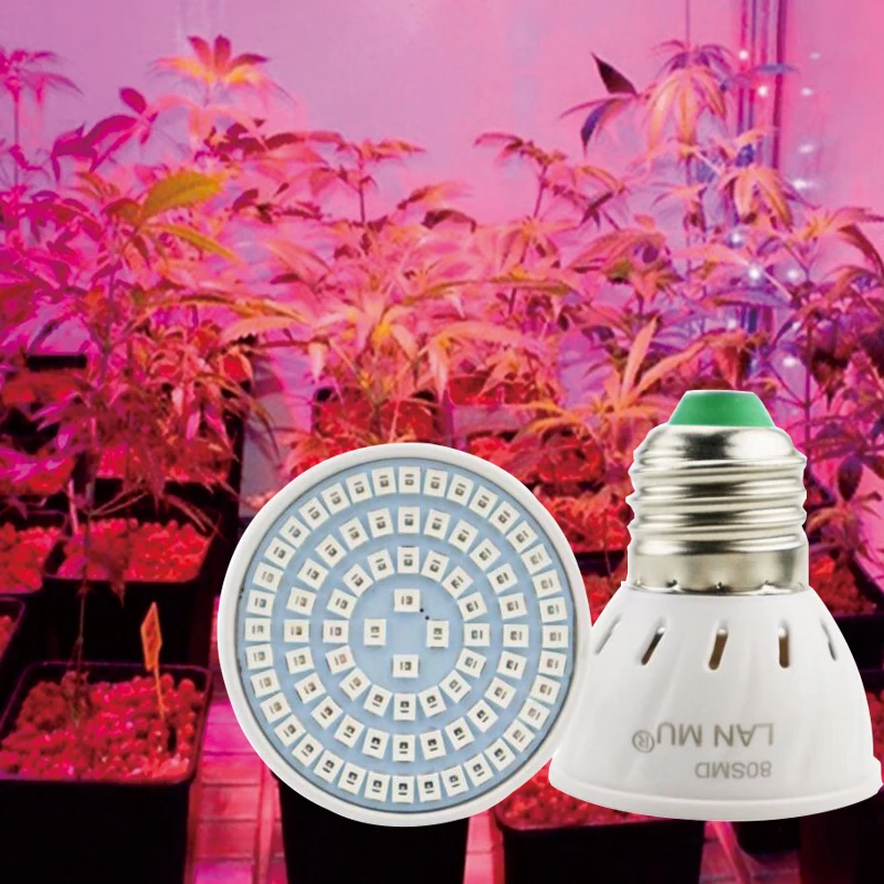 

Red Blue UV IR led bulb