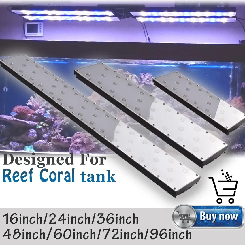 Reef Coral full