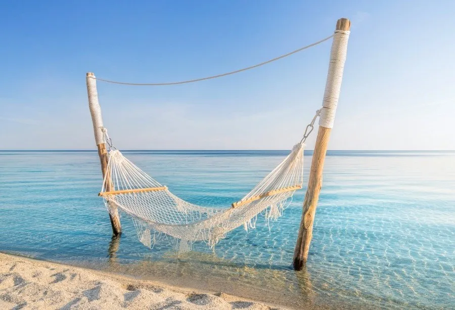 

Laeacco Photography Backdrops Tropical Sea Beach Hammock Fish Net Blue Sky Scenic Photo Backgrounds Photocall For Photo Studio