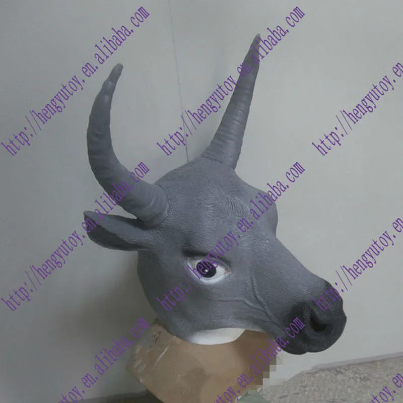 bull1