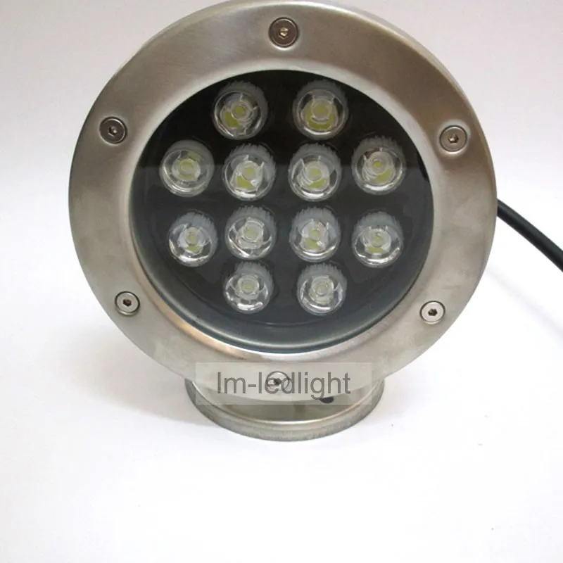 24 V светодиодный светильник для бассейна 12 Вт IP68 представительского класса со стальным браслетом Подводное светодиодное освещение Bridgelux 45mil белый RGB цвет зеленый, синий, подходит для использования в 10 шт