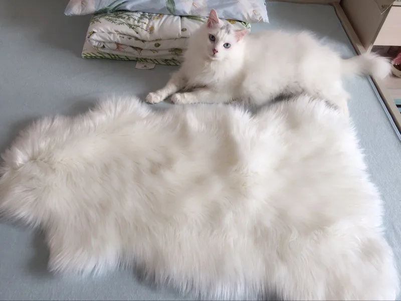 TB2rDxEppXXXXc1XpXXXXXXXXXX_!!0-rate