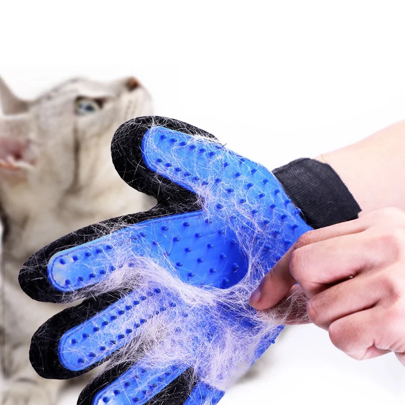 AAA