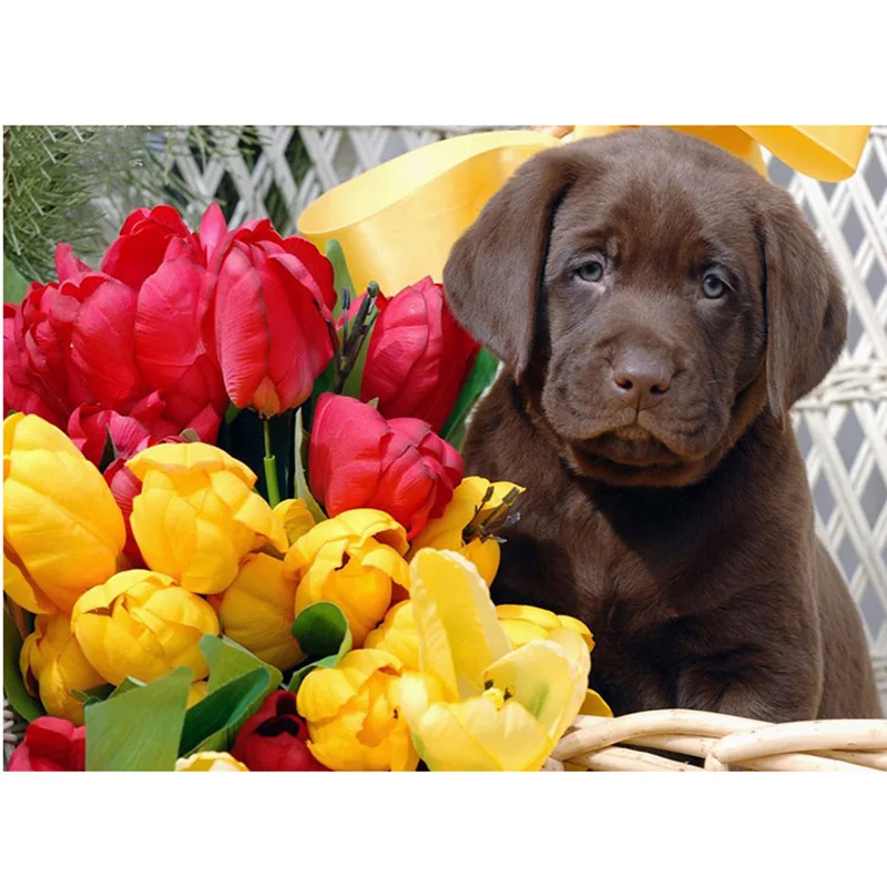 

Full Square&Round Creative Diamond Embroidery Labrador Dog 5D Diy Diamond Painting Cross Stitch Diamond Mosaic Needlework Decor