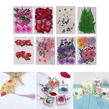 8 шт микс прессованный высушенный Цветы Листья Гербария DIY искусство ремесла Скрапбукинг