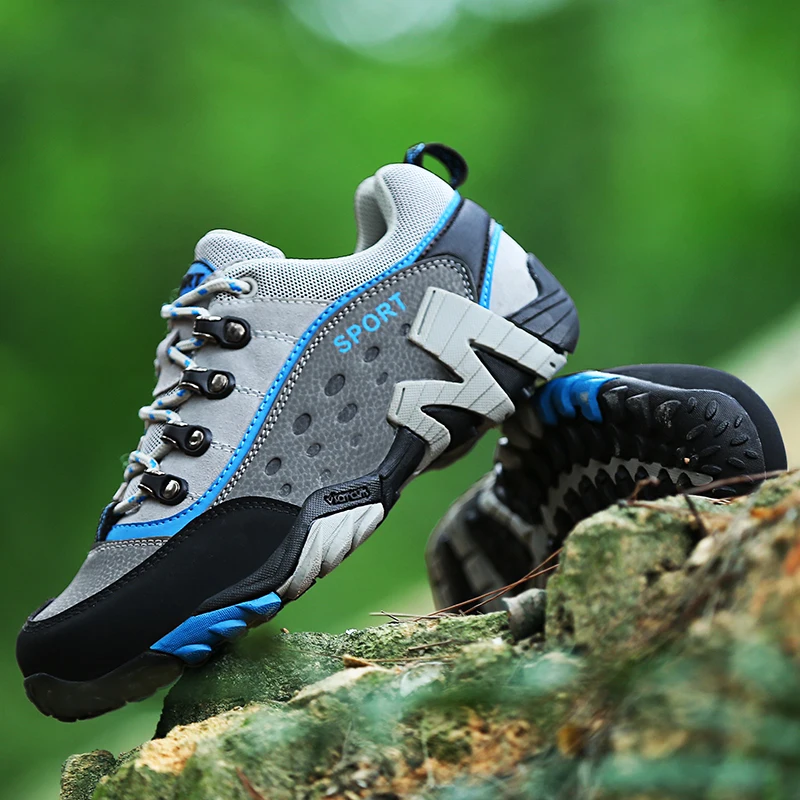 T3_A2946-