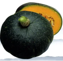 2018 Promotion Limited Outdoor Plants Very Easy Mini Garden Summer Excluded Courtyard bonsai Mibao Vegetable Pumpkin bonsai 5