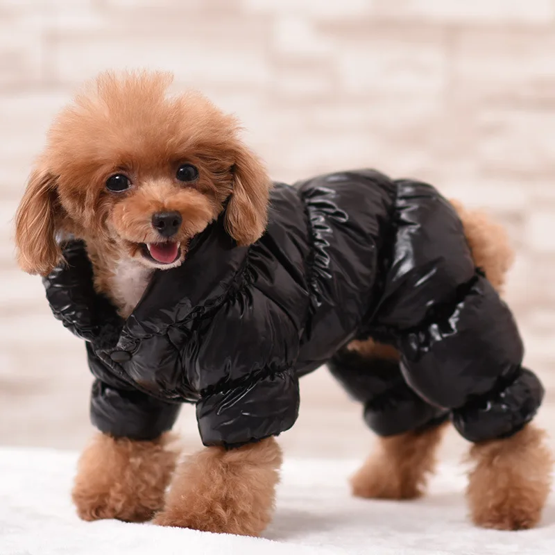 Bigeyedog зимняя одежда для собак французская одежда для бульдога Мопс Шарпей пудель, йоркширский терьер пальто для собаки теплое костюм для животных Костюм - Цвет: Black Jumpsuit