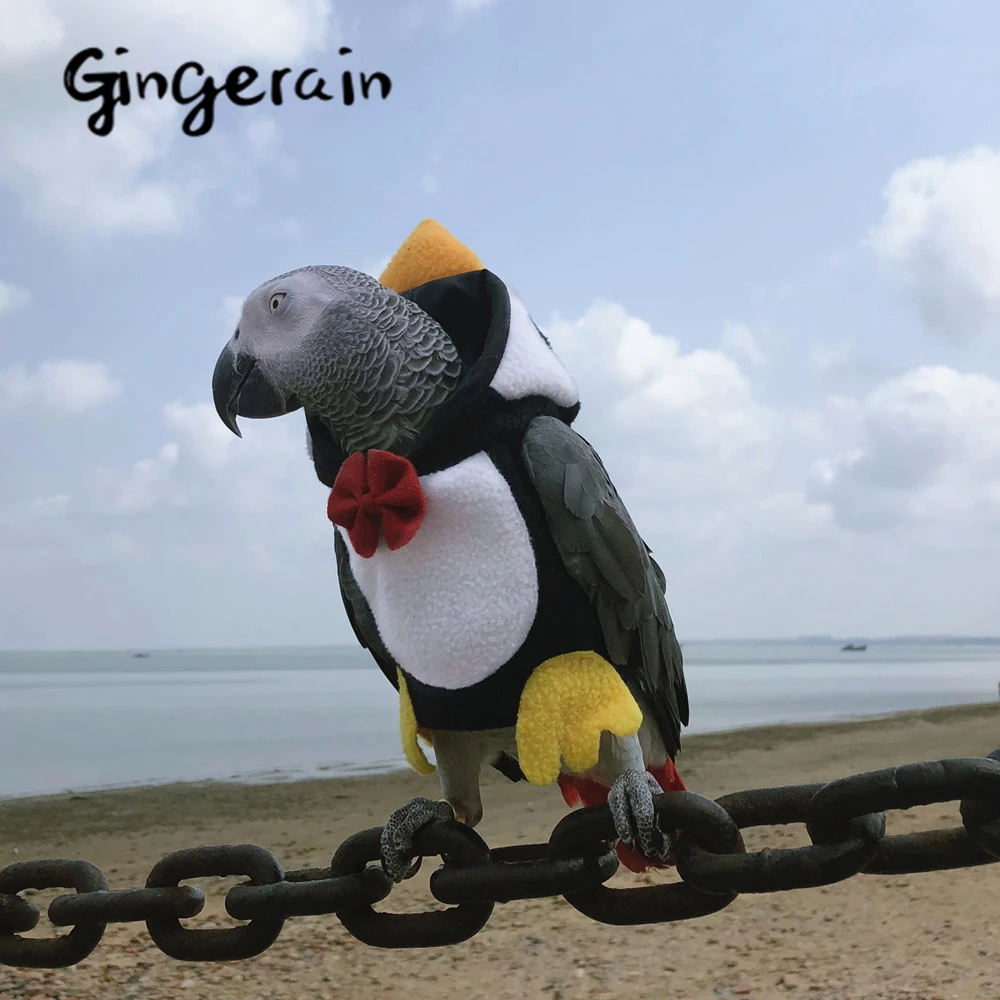 Gingerain Bird clothes Parrot q guy original hand-made custom bird Hooded Sweater White cloud roll | Дом и сад