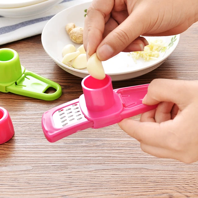 Stainless Steel Garlic Grater 1