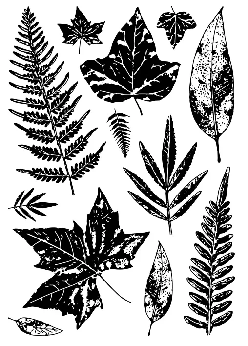 

Leaf transparent Clear Stamps seal Scrapbook Paper Craft Clear stamp scrapbooking X0479