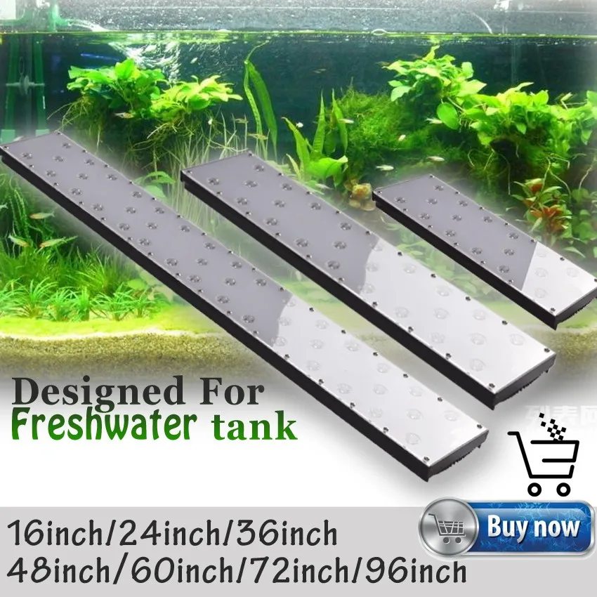 Freshwater