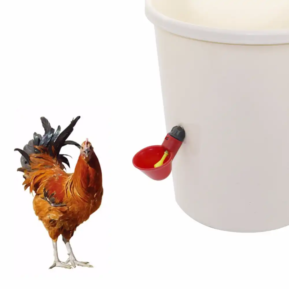 Red Poultry Water Drinker Tools Drinking Cups Feeder Chicken Hen Plastic Set Kit