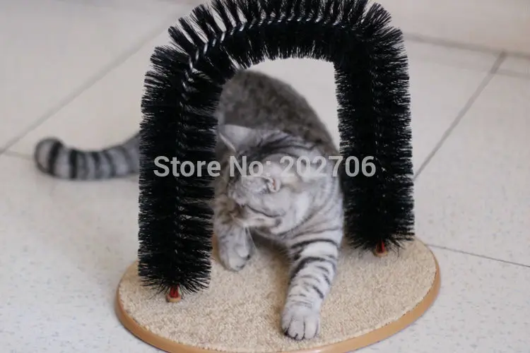 CAT M (2)