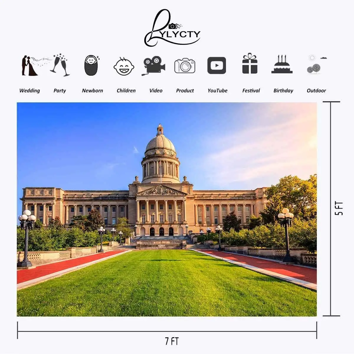 150x210 см архитектурный пейзаж Сан Франсиско США фон зеленая трава фотографии фоны