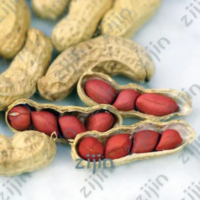 

10pcs particles Four red peanuts, Peanut Bonsai,Chinese characteristics plant Bonsais