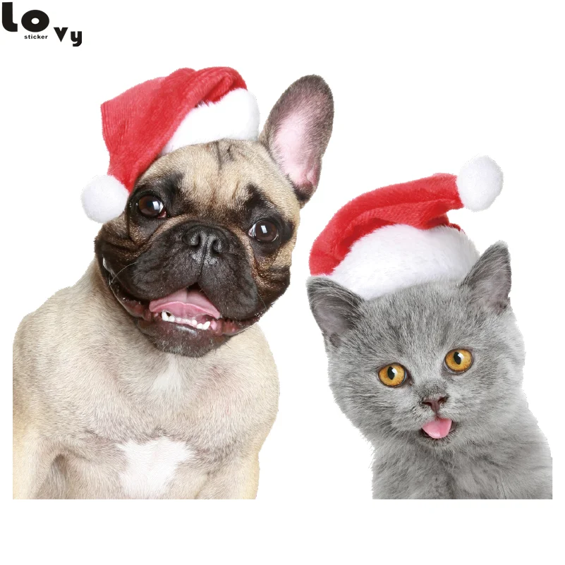 Baru Lucu Kucing Anjing 3d Lihat Kamar Tidur Toilet Dapur