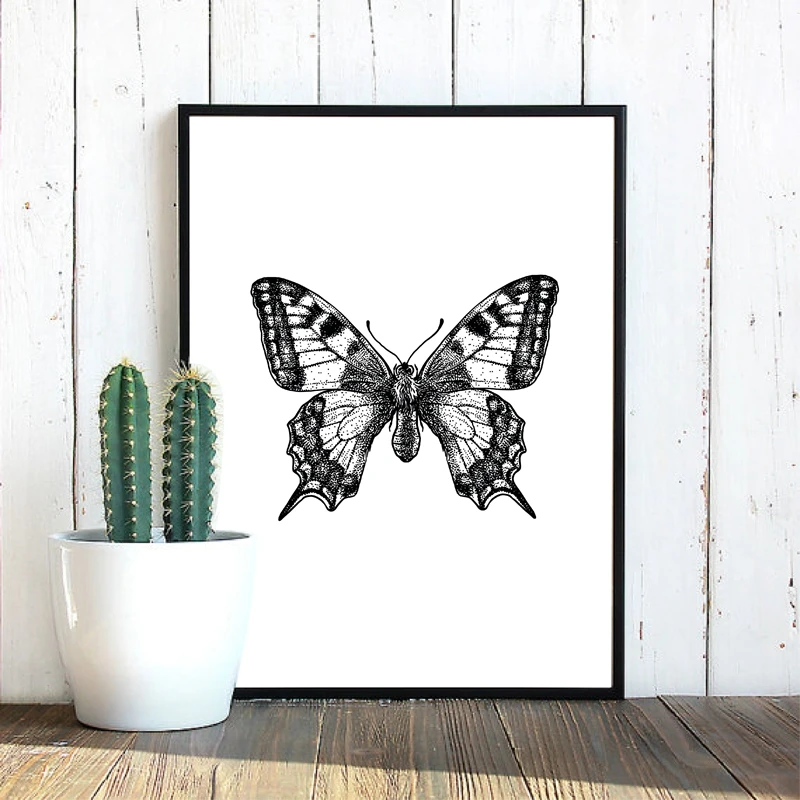 butterfly illustration canvas print