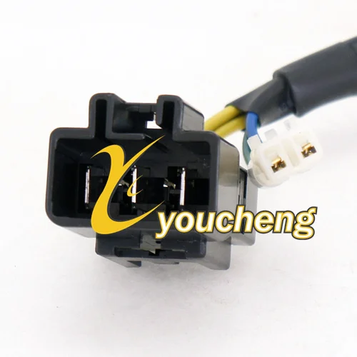 CF500  1000g (3)