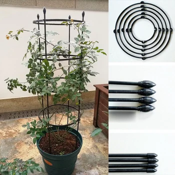

Durable Creative Vine Climbing Rack Rattan Stent Flower Decorative Gardening Tools Vegetables Trellis Plant Support Frame