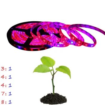 

LED Grow Lights DC12V Growing LED Strip 5050 IP20 IP65 IP68 Plant Growth Light for Greenhouse Hydroponic plant 5m/lot
