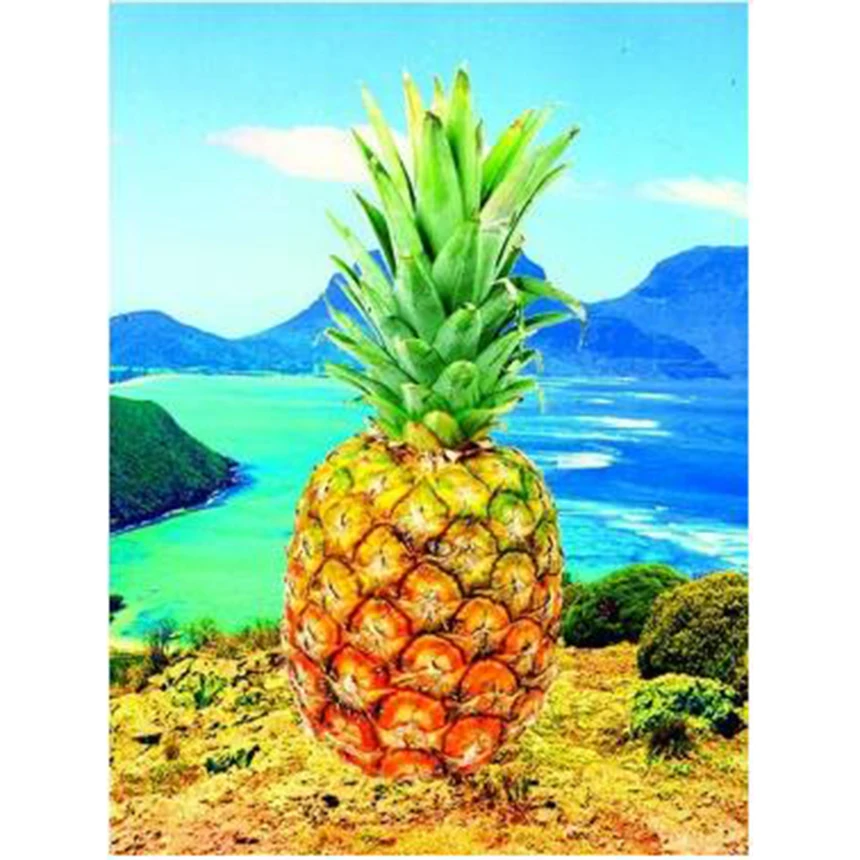 Full Square Diamond Painting Pineapple Picture Of Rhinestones Fruit 5D