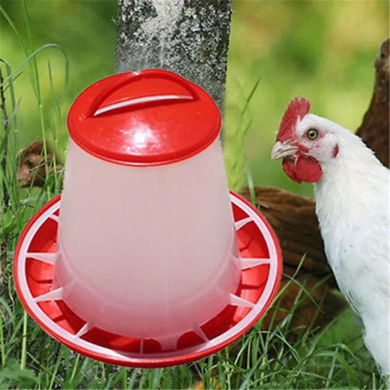 Chicken Feeder Water Storage Bottle Drinker Poultry Chick Hen