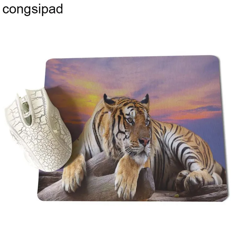 New in Package FREE SHIPPINGCollectA 88206 Adult Leopard Big Cat Replica