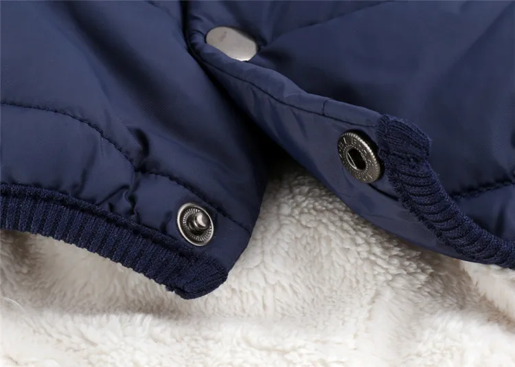 high quality clothes for dog