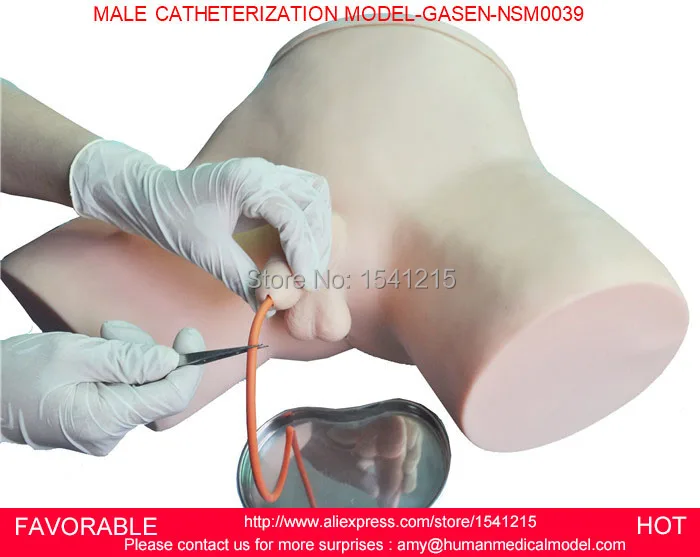 CATHETERIZATION MODEL,URINARY ,MALE/FEMALE CATHETERIZATION,NURSING SIMULATION TRAINING MALE CATHETERIZATION MODEL-GASEN-NSM0039 CATHETERIZATION MODEL,URINARY ,MALE/FEMALE CATHETERIZATION,NURSING SIMULATION TRAINING MALE CATHETERIZATION MODEL-GASEN-NSM0039