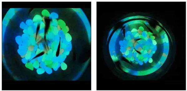 Colorful Artificial Luminous Stones 50pcs Garden Pebbles - 19