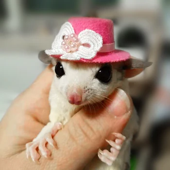 

Honeybags hats hamsters hand-woven cute animal shapes matching hats cartoon hats hamster harness