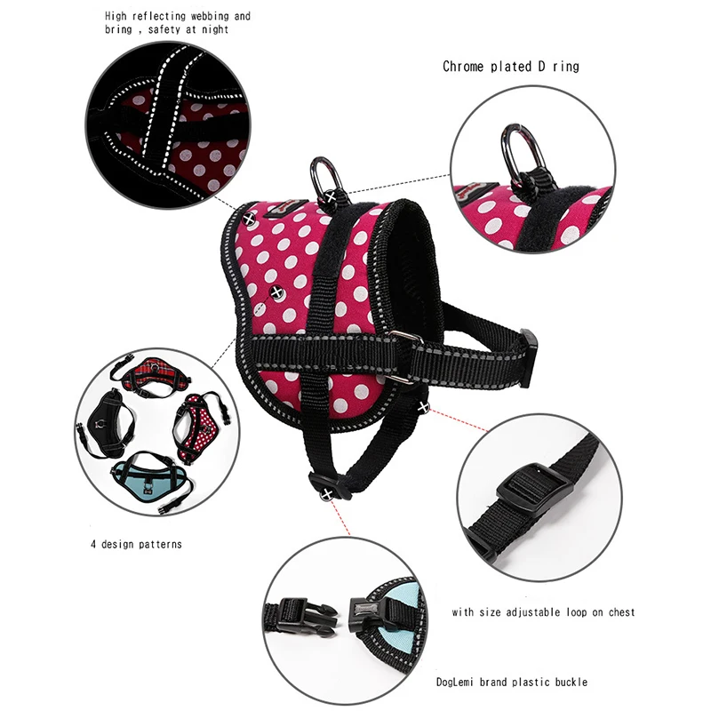 Harnesses-12-13