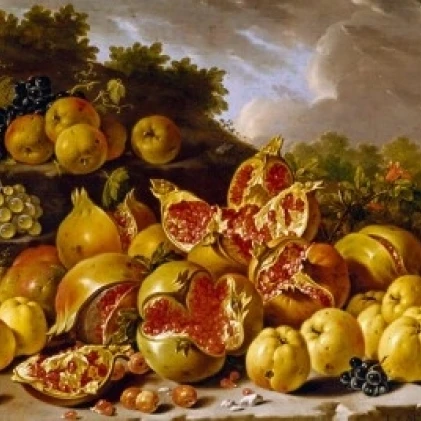 Spain  Madrid  Museo del Prado  Bodegon Style  Still Life with Pomegranates