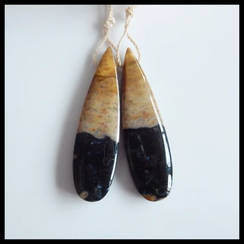 

Natural Semiprecious stone jewelry ,birthday present.Stone Fossil Palm Earrings Bead,44x12x5mm,8.1g
