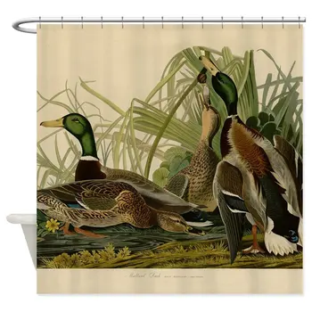 

Mallard Duck Bird Vintage Print Shower Curtain Mat Waterproof Polyester Fabric Bathroom Curtain Set Home Bath Decor