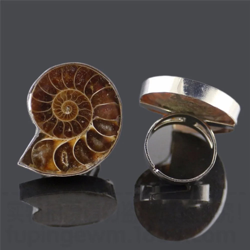 Druzy Trendy Natural Stone Conch Animal Ring Ammonite Fossils Seashell Snail Rings For Man And Women Free Shipping Rings Aliexpress