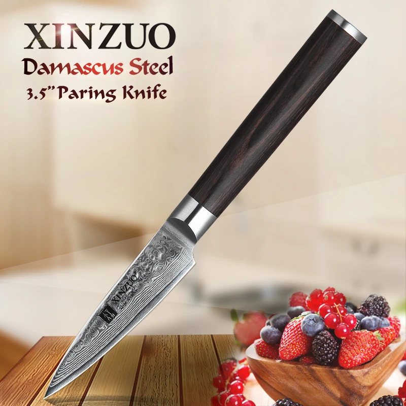 

XINZUO 3.5" inch Paring Knife Japan 67 Layers Damascus Kitchen Knives Super Sharp Fruit Knife VG10 Steel with Pakka Wood Handle