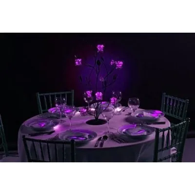 Супер яркий светодиод floralyte Батарея Мини светодиодный свет для вечерние Свадебные украшения подвесной светодиодный источник освещения