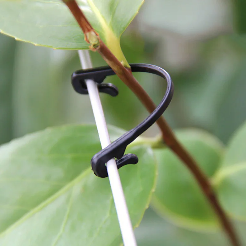 50Pcs Fixed Lashing Tool Agricultural Greenhouse Supplies Vegetable Grafting Clamp Support Vine Clip Garden Plants Hook Plastic
