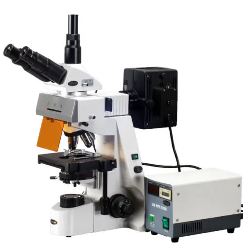 AmScope 40x-2500x Plan Infinity Extreme Widefield EPI-Fluorescent Microscope | Инструменты