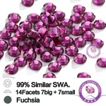 FRA29 Fuchsia (1)