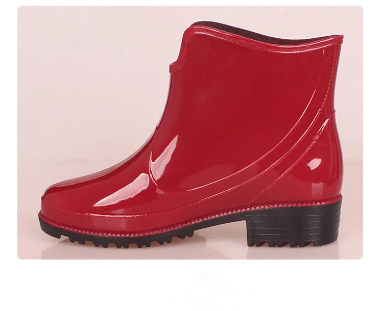 8152427019_1698861093_