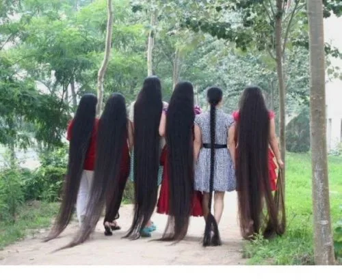 Long Hair Fast Growth Herbal Hair Oil Helps Your Hair To Lengthen