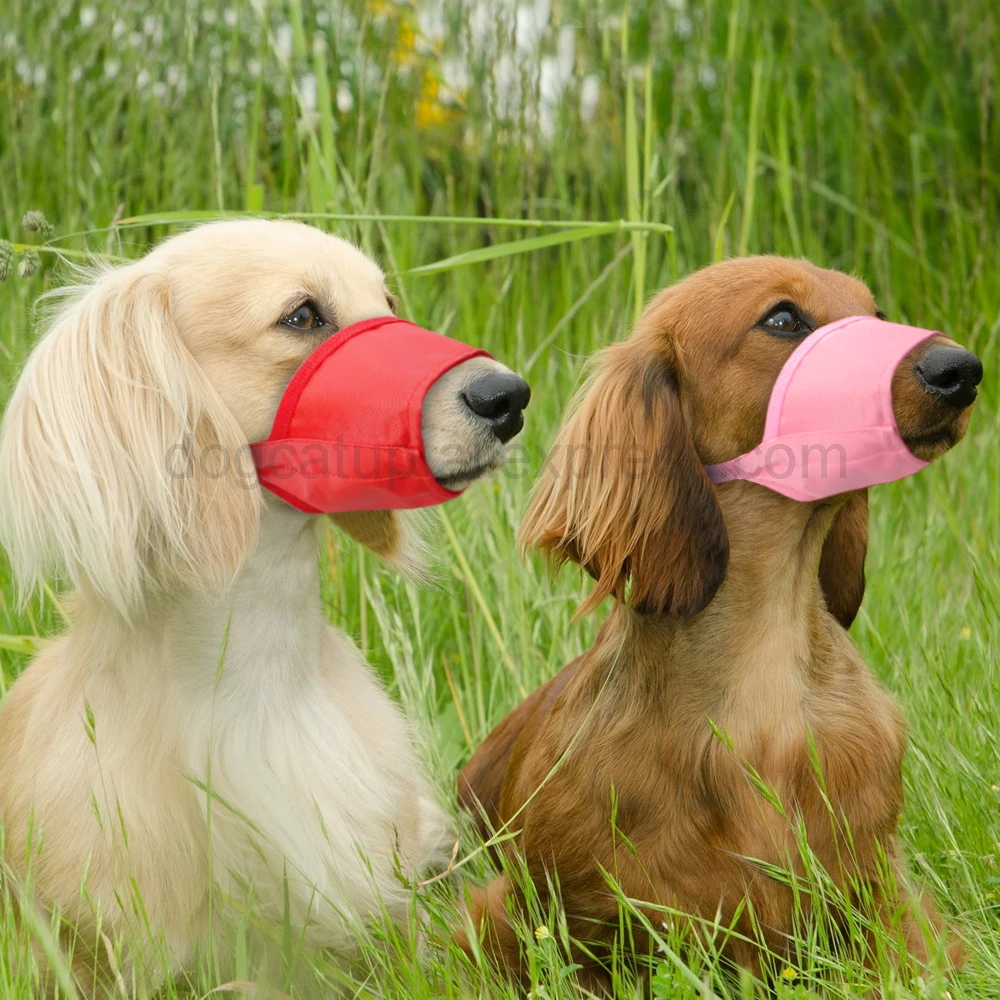 Adjustable pet dog muzzle breathable anti bark biting chew dogs muzzles training respirator for small medium big dogs mouth mask