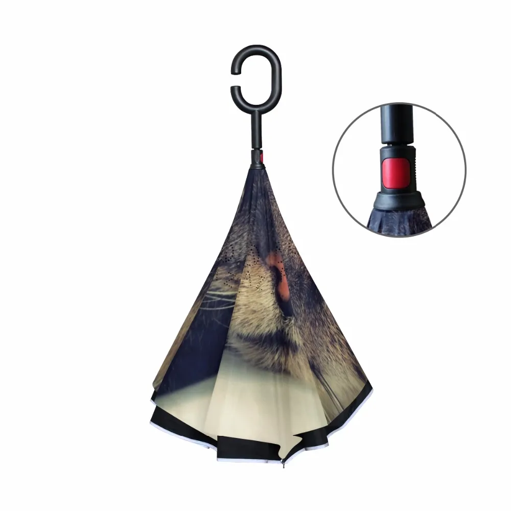 g4383144p183c217s313_2