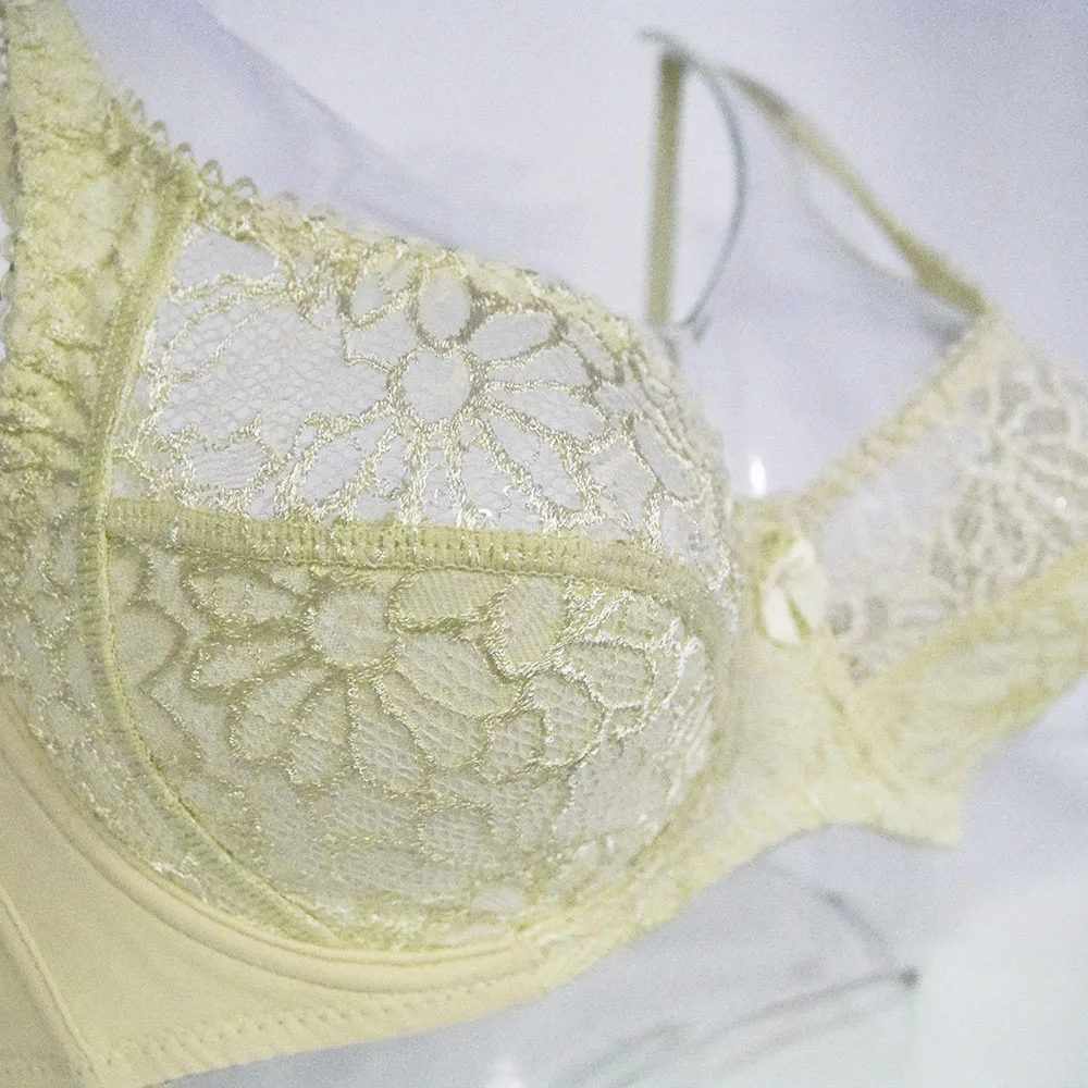  Lager Bosom Lace Perspective Bra For Womens Sexy Lingerie Underwire Embroidery Floral Bralette Plus