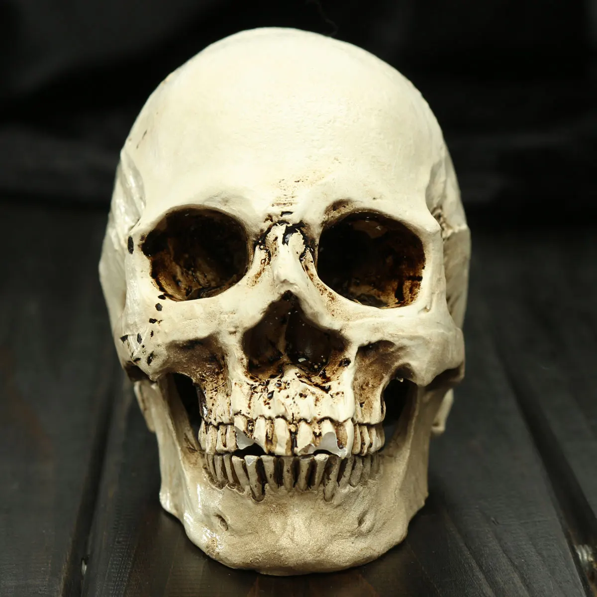 

Resin Halloween Decor Scary Horrible Skull Masquerade Party Cosplay Props Holiday DIY Supplies Medical Realistic Human Skull