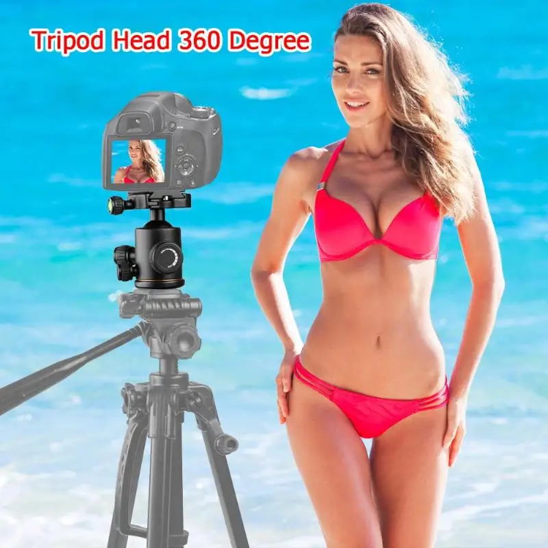 

ALLOYSEED 360 Degree Fluid Rotation Camera Tripod Ball Head with Quick Release Plate Sports Action Camera Tripod Heads Parts